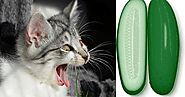 Why are cats scared of cucumbers