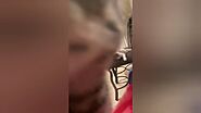 Kiwi The Kitten 😻 Cute Reaction To Camera ❤