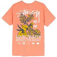 Stussy T-Shirt | Capsul