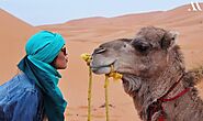 Website at https://metanoiatravelguide.com/how-to-spend-15-days-in-morocco
