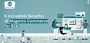 5 Incredible Benefits of Magento Commerce for B2B | Bloggalot.com