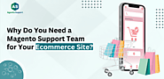 Why Do You Need a Magento Support Team for Your Ecommerce Site? | Linkgeanie.com
