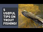 5 Useful Tips On Trout Fishing!