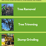 Connor Tree Service , LLC | Visual.ly