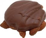 Buy Chocolate Pecan Turtle for Honeymoon