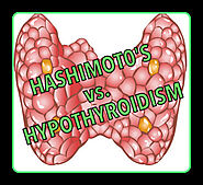 natural remedies for thyroid problems - Philadelphia Holistic Clinic