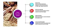 Product Innovation and Formulation using Cereals