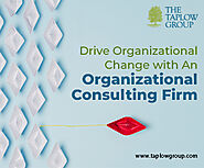 Drive Organizational Change with An Organizational Consulting Firm