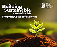 Building Sustainable Nonprofits with Nonprofit Consulting Services