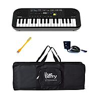 Casio SA-47 Mini Keyboard-32 Keys And Adapter with Blueberry Bag Along With One USB LED - Combo