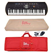 Casio SA-76 Mini Keyboard with Blueberry Dust Cover and: Amazon.in: Musical Instruments