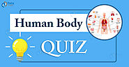 Human Body Quiz - Human Body General Knowledge Questions - Quiz Orbit