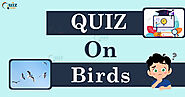 Birds Quiz for Nature Lovers - Quiz Orbit