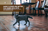 10 Factors You Need to Consider Before Installing Wooden Flooring - Capital Hardwood Flooring