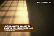 11 Common Wood Floor Damage Types and Causes - Capital Hardwood Flooring