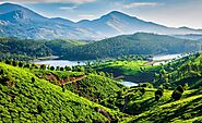 Kerala Tour Package | Cochin Munnar Alleppey Package