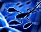 How Do I Choose the Best Infertility Treatment?