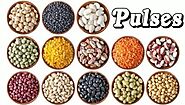 All Pulses Name in Hindi and English with Picture