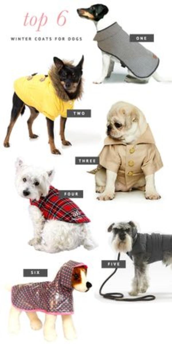 Best Winter Coats For Dogs A Listly List