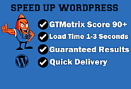 Speed up your wordpress website speed drastically !