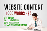 Write SEO articles or website content up to 1000 words