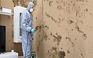 Best Residential Mold Inspection in Georgia