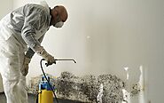 Pick Up The Best Service Of Residential Mold Inspection In Georgia!