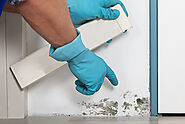 Residential Mold Testing & Inspection Services in Georgia