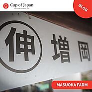 Sayama Organic Tea, our trip to Saitama and meeting with 400 years of – cupofjapan