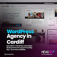 Create a Unique Website with Our Custom WordPress Theme Development Services