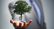 How Businesses Can Introduce Sustainable Practices Into their Companies