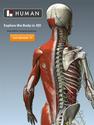 BioDigital Human: Explore the Body in 3D!