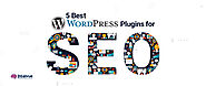 5 Best WordPress Cache Plugins to Accelerate Your Website - Intelvue
