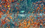 These 20+ Beautiful Autumn Photos Will Inspire You To Grab Your Camera