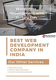 Hire the professional website developers in India
