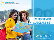 Guide About The eVisitor Visa Subclass 651