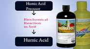 Humic Acid And Its Uses As Fertilizer