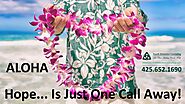 #Hawaii #Counseling #Trauma #Therapy #Coaching #Alcoholism #Sex #Porn #Addiction #Oahu Maui Kauai HI