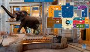 Virtual Tour: Panoramic Images: Smithsonian National Museum of Natural History