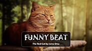 Piano Music Funny - The Red Cat by Lena Orsa - [Free Copyright-safe Music]