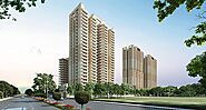 NCR Monarch Noida Extension - Ready to Move Apartments