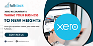 Xero Accountants: Taking Your Business to New Heights
