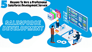5 Reasons To Hire a Professional Salesforce Development Service - Salesforce salesforce services
