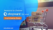 Why Choose Shopware for your E-commerce Store to Grow your Revenue?