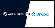 WordPress vs Drupal : Which is Right for you in 2021