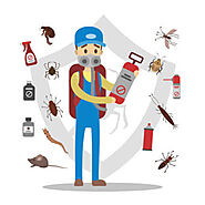 Professional Pest Control Services in Dhaka | Top One