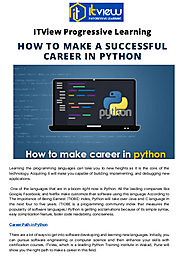 How to Make a Successful Career in Python | edocr