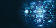 Building AI Leadership Brain Trust: Why Is Agile Methods Literacy Key To AI Competency Enablement?