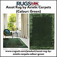 Ascot Rug by Asiatic Carpets in Green Colour
