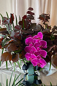 Shop Flowers From Top Florist in Melbourne - Antaeus Flowers